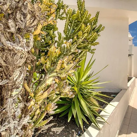Penthause Gara&jonay Jacuzzi& Pool Costa Adeje Appartement